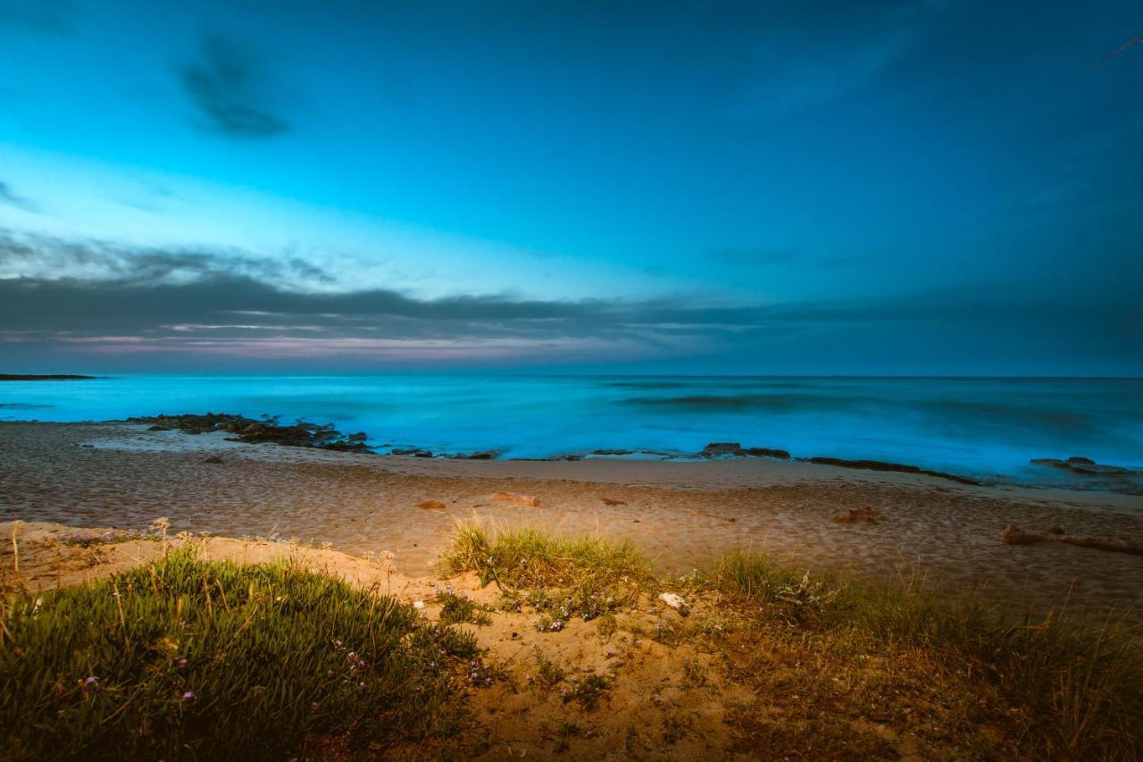 Akrotiri Seaside Project Case de vacanță *